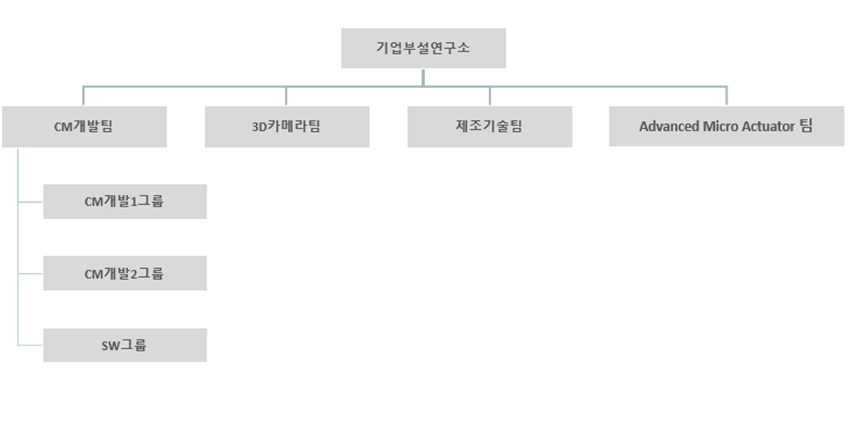 이미지: 기업부설연구소 조직도
