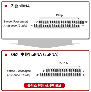 이미지: 그림. 올릭스 비대칭 siRNA(asiRNA) 구조