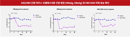 이미지: 그림. AAV, HBV 간염 마우스 모델에서 B형 간염 항원 및 HBV DNA 억제 효능 확인