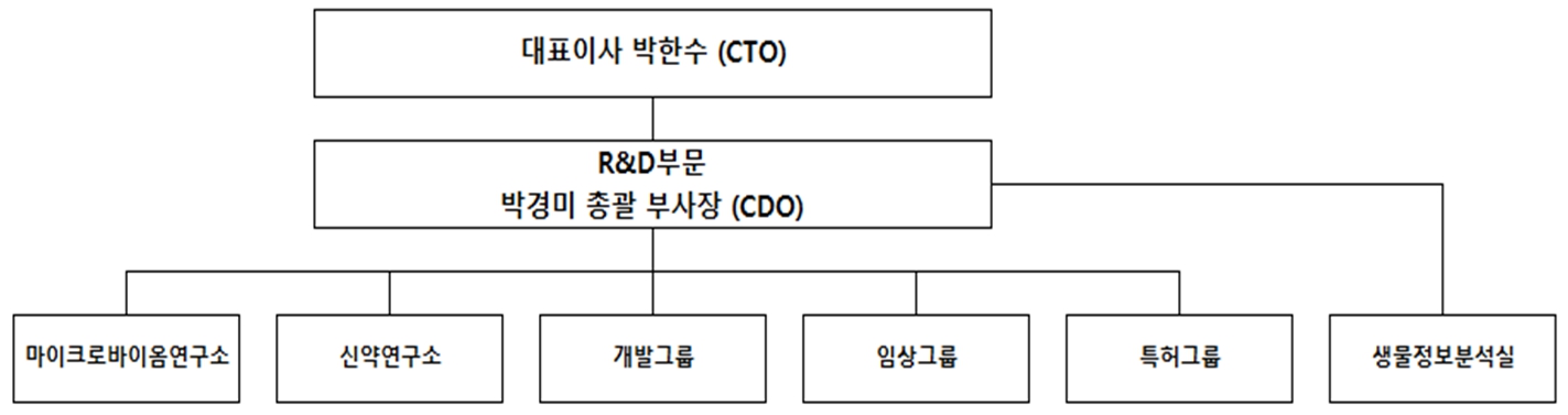 이미지: 조직도