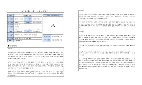 이미지: [ 이크레더블 기술평가서 ]