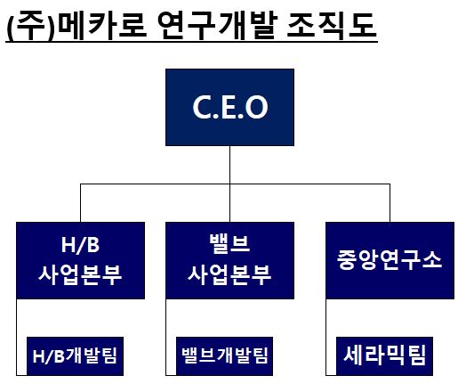 이미지: (주)메카로 연구개발 조직도 (20240331)