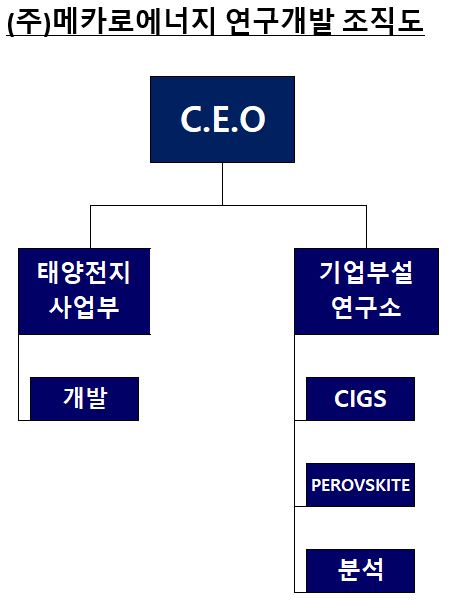 이미지: (주)메카로에너지 연구개발 조직도 (20240331)
