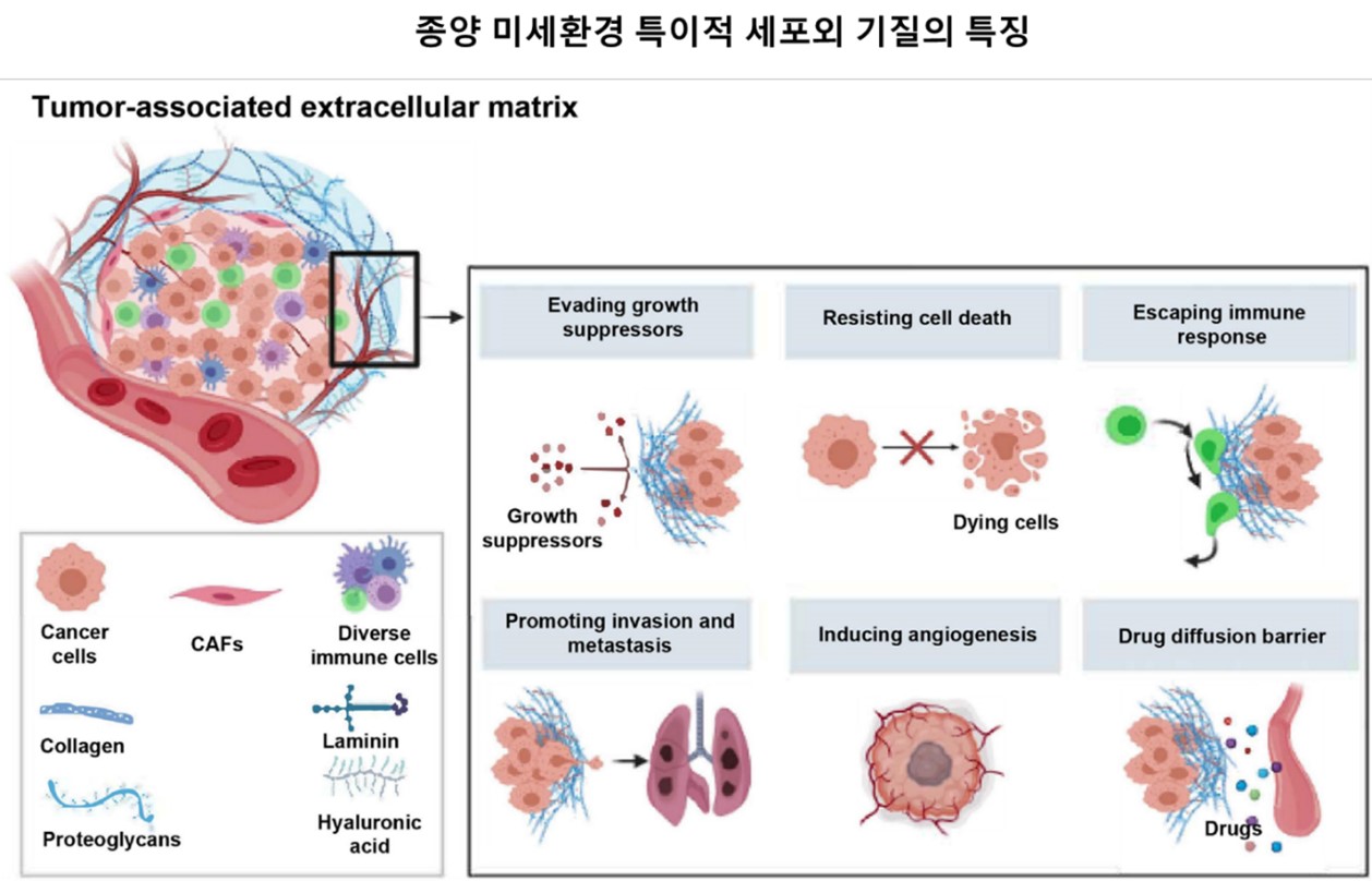 이미지: 종양 미세환경 표적화의 필요성