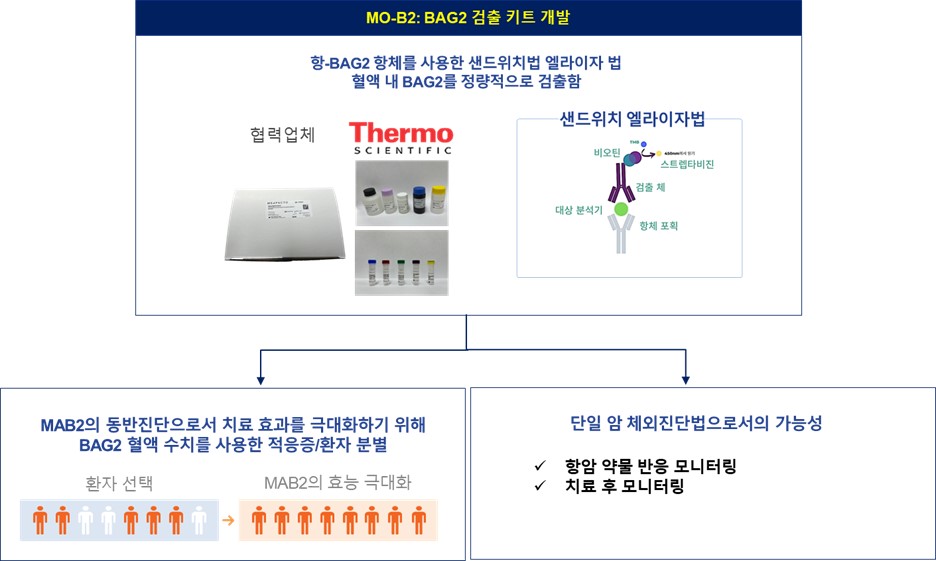 이미지: BAG2 검출 키트의 개요 및 개발 방향