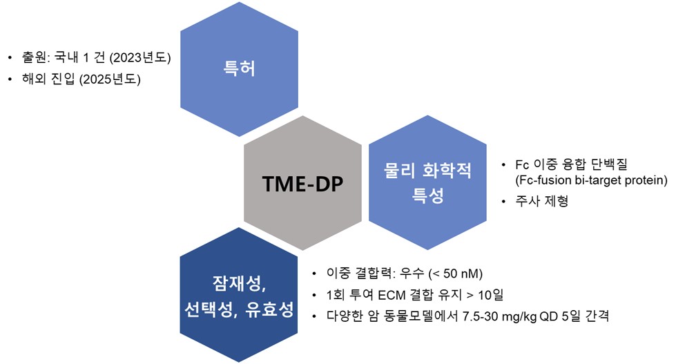 이미지: TME-DP 특징 요약