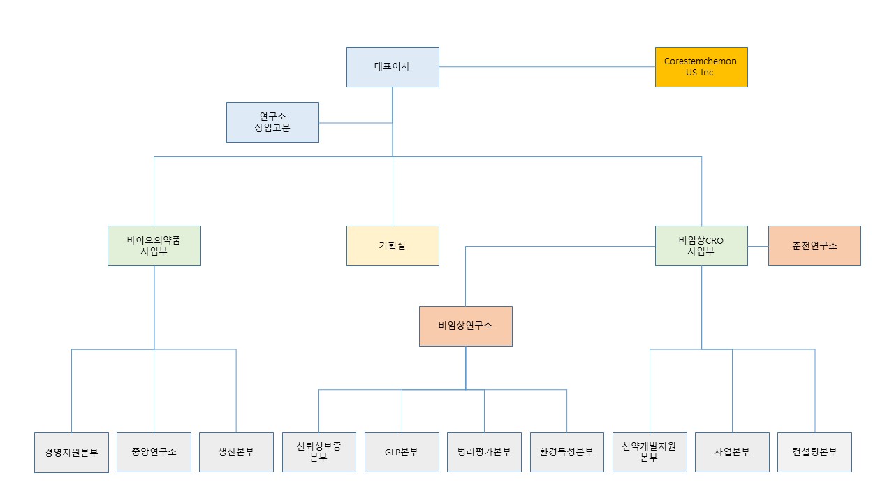 이미지: 코아스템켐온 조직도