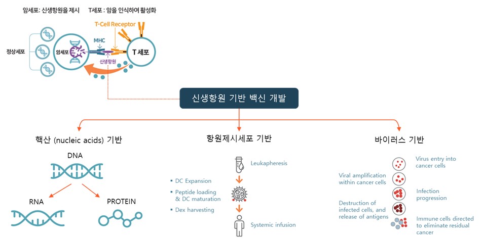 이미지: 그림 5. 신생항원 기반 백신 및 면역세포치료제 개발