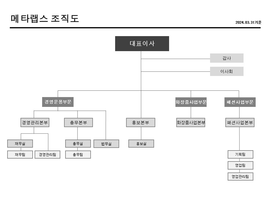 이미지: 메타랩스 조직도_20240331