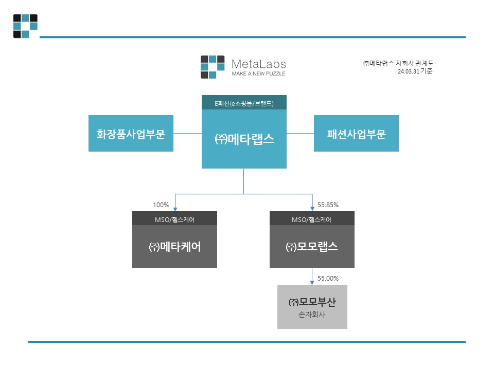 이미지: 자회사조직도_20240331