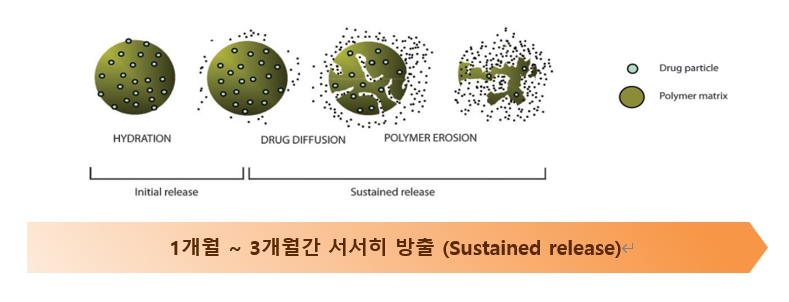 이미지: [Microsphere 기반 장기지속형 주사제 기술 개념]