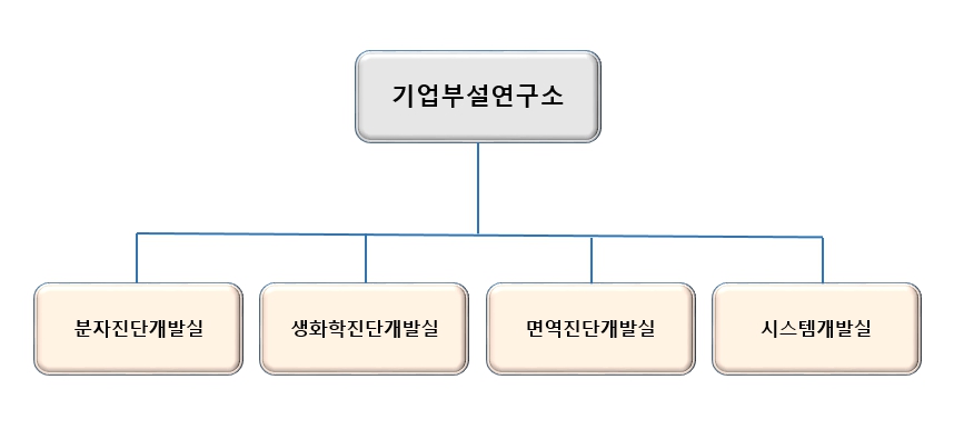 이미지: 기업부설연구소 조직도