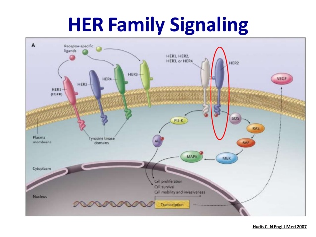 이미지: her family signaling