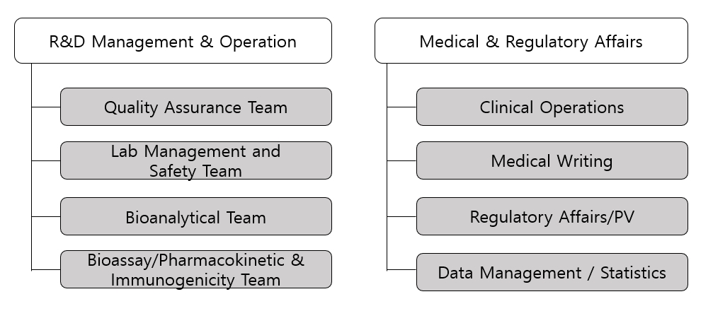 이미지: 연구개발 조직도
