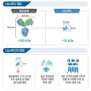 이미지: 나노바디 개요 및 장점