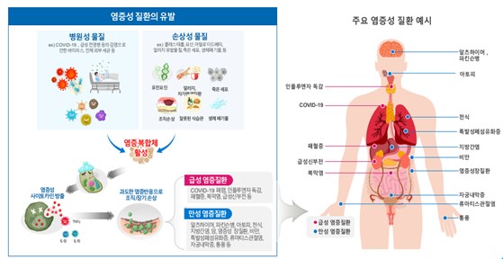 이미지: 염증성 질환의 유발 process 및 주요 염증성 질환