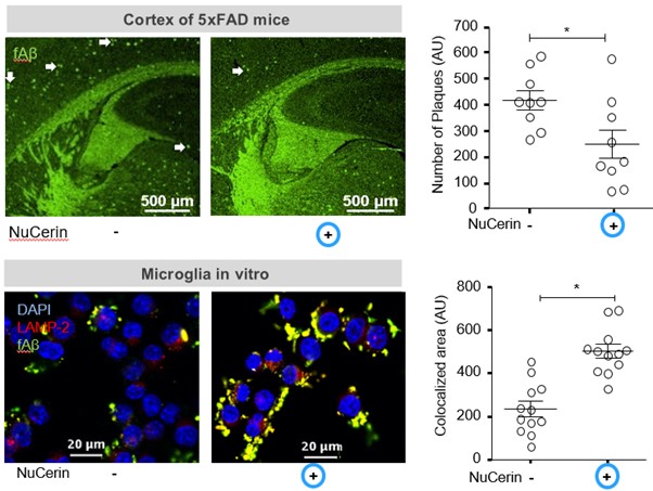 이미지: NuCerin의 동물 및 in vitro 데이터