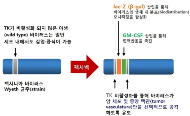 이미지: 펙사벡 디자인
