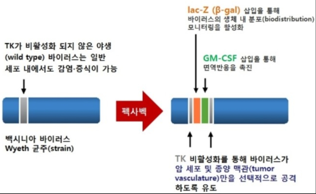 이미지: 펙사벡디자인