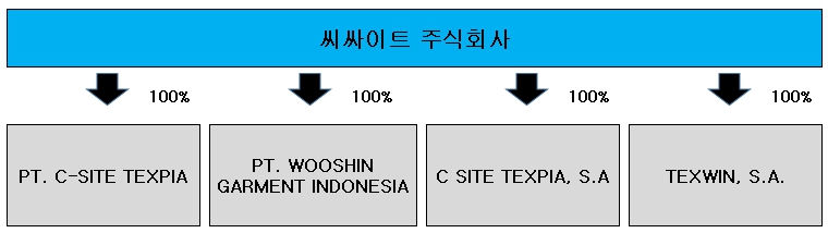 이미지: C-SITE 지분구조