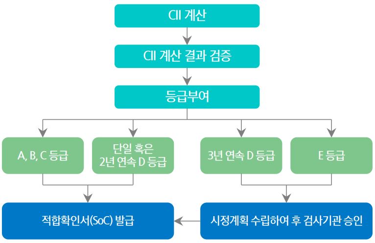 이미지: cii 규제 개념도