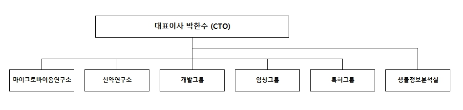 이미지: 조직도