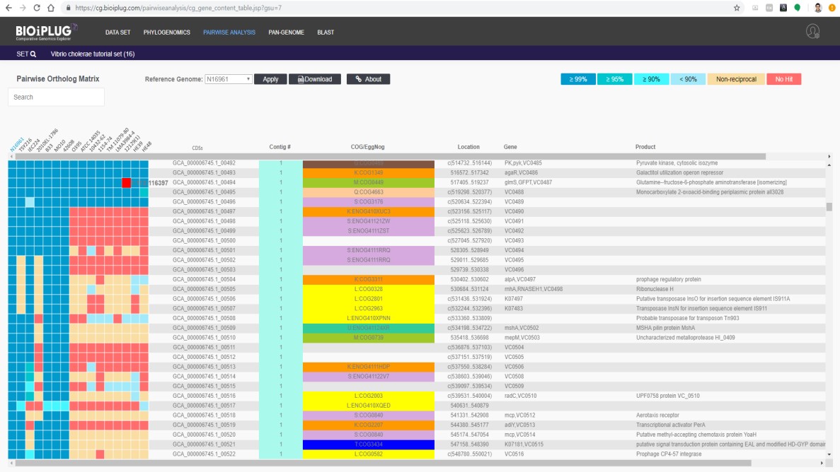 이미지: 분석결과 화면 예시