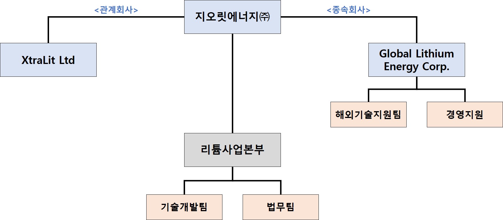 이미지: 신규사업 조직도