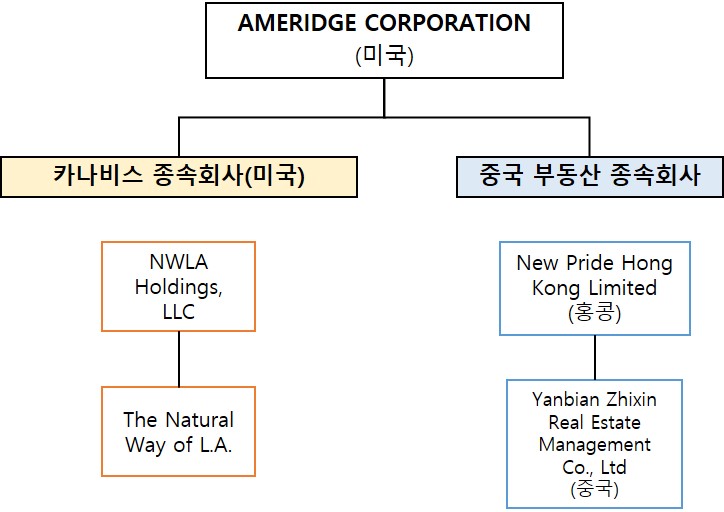 이미지: AMC 2024-06-30 종속회사 계통도