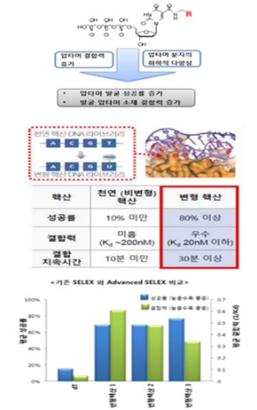 이미지: 변형핵산을 이용한 압타머 발굴