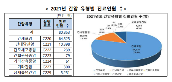 이미지: 2021년 간암 유형별 진료인원 수