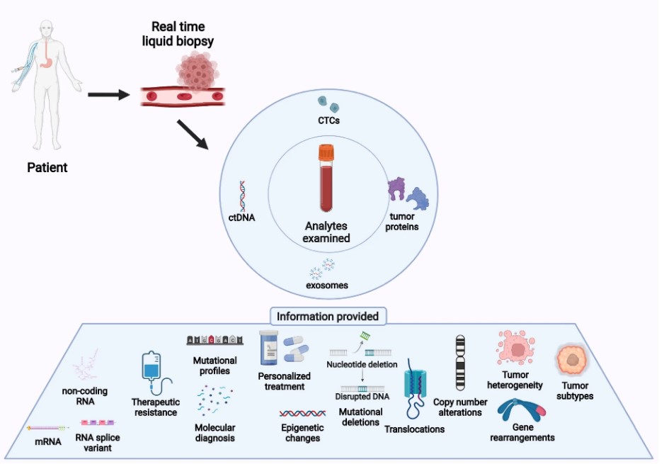이미지: Entities analyzed in liquid biopsies and their applications