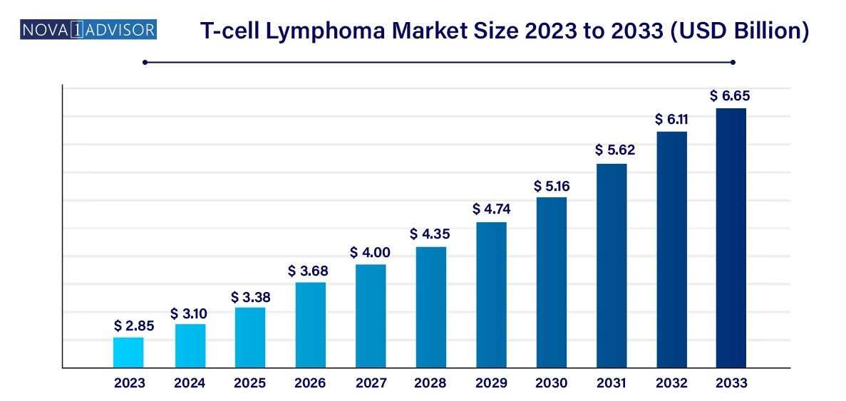 이미지: T-Cell Lymphoma Market Size