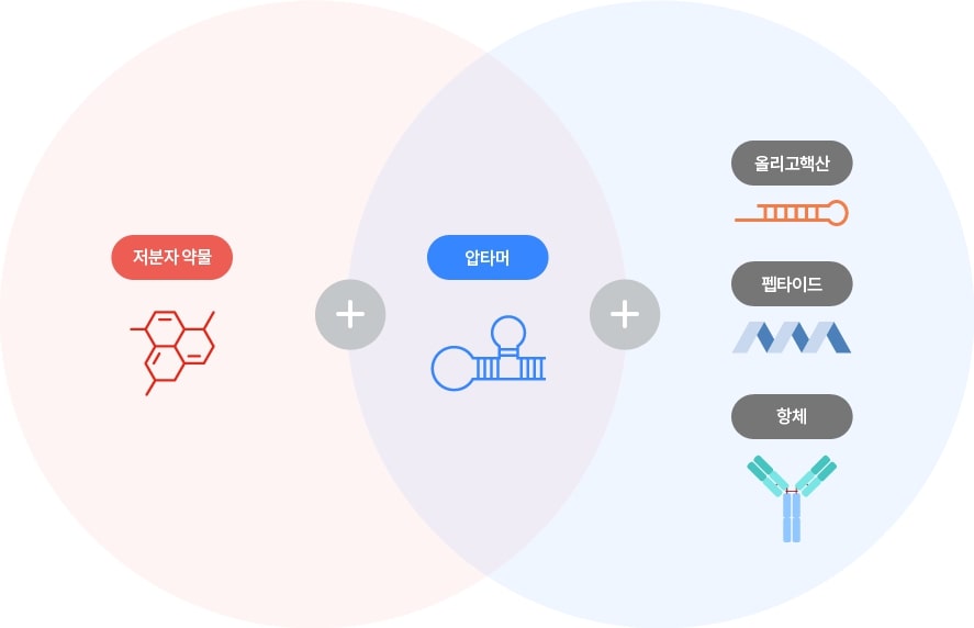 이미지: 압타머 신약 개발 플랫폼