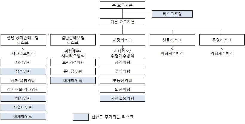 이미지: 반영리스크 분류_신고서