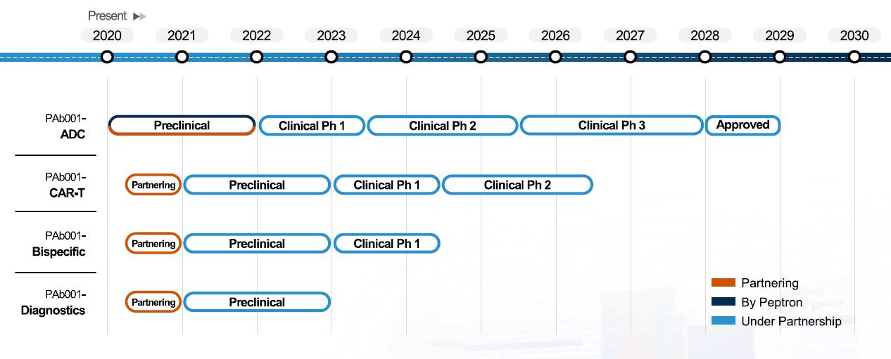 이미지: PAb-001 임상 전개