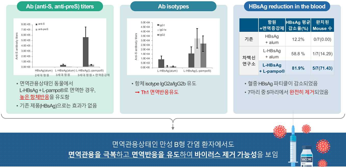 이미지: 만성 B형 간염 치료백신 CVI-HBV-002의 비임상 효력시험