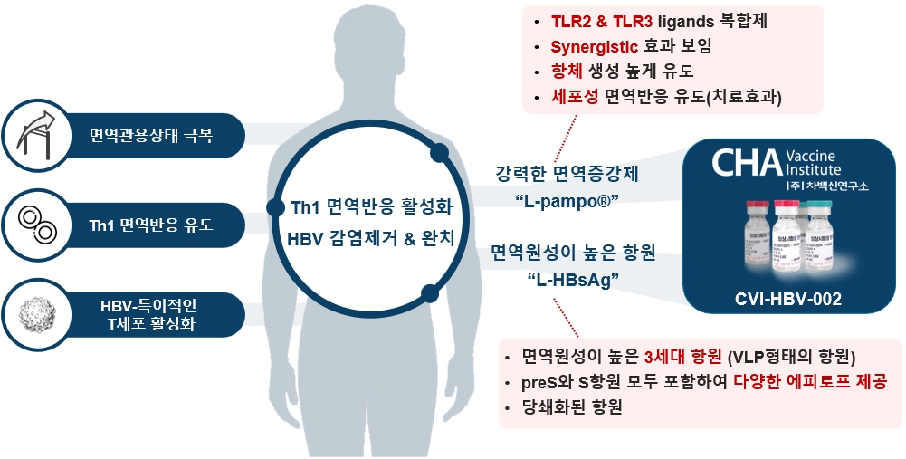 이미지: 만성 B형 간염 치료백신 CVI-HBV-002의 특징