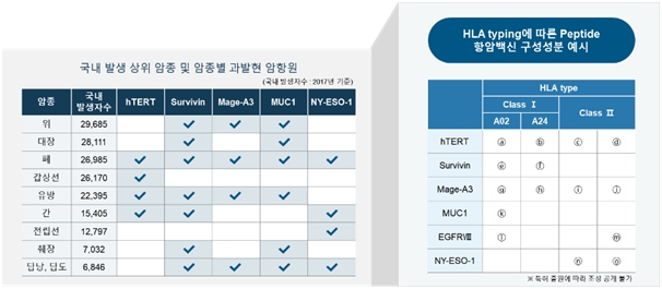 이미지: 펩타이드 항암백신 개발 전략 (암종별 과발현 암항원 면역증강제 L-pampo®)