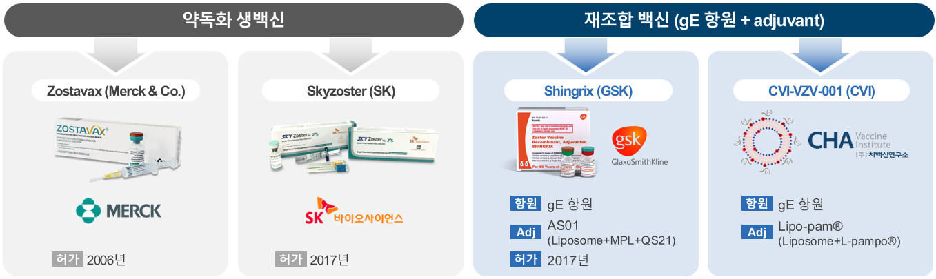 이미지: 허가된 대상포진 예방백신