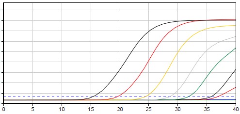 이미지: qpcr