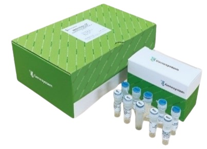 이미지: sars-cov-2_detection_kit