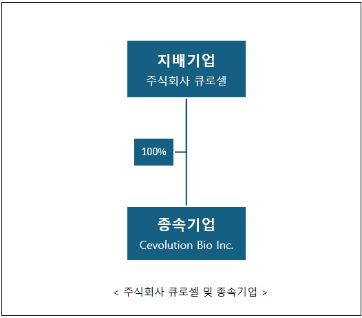 이미지: 큐로셀 계열회사 지배구조