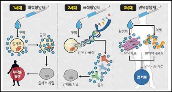 이미지: [각 세대별 항암제의 원리]