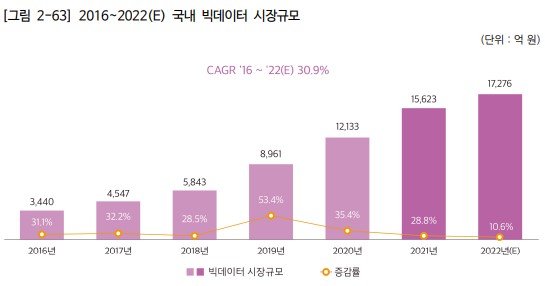 이미지: 국내 빅데이터 시장규모