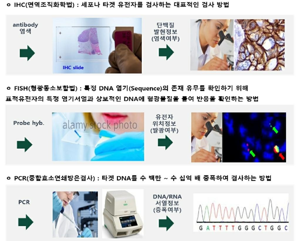 이미지: 분자진단 기술 및 사용 목적