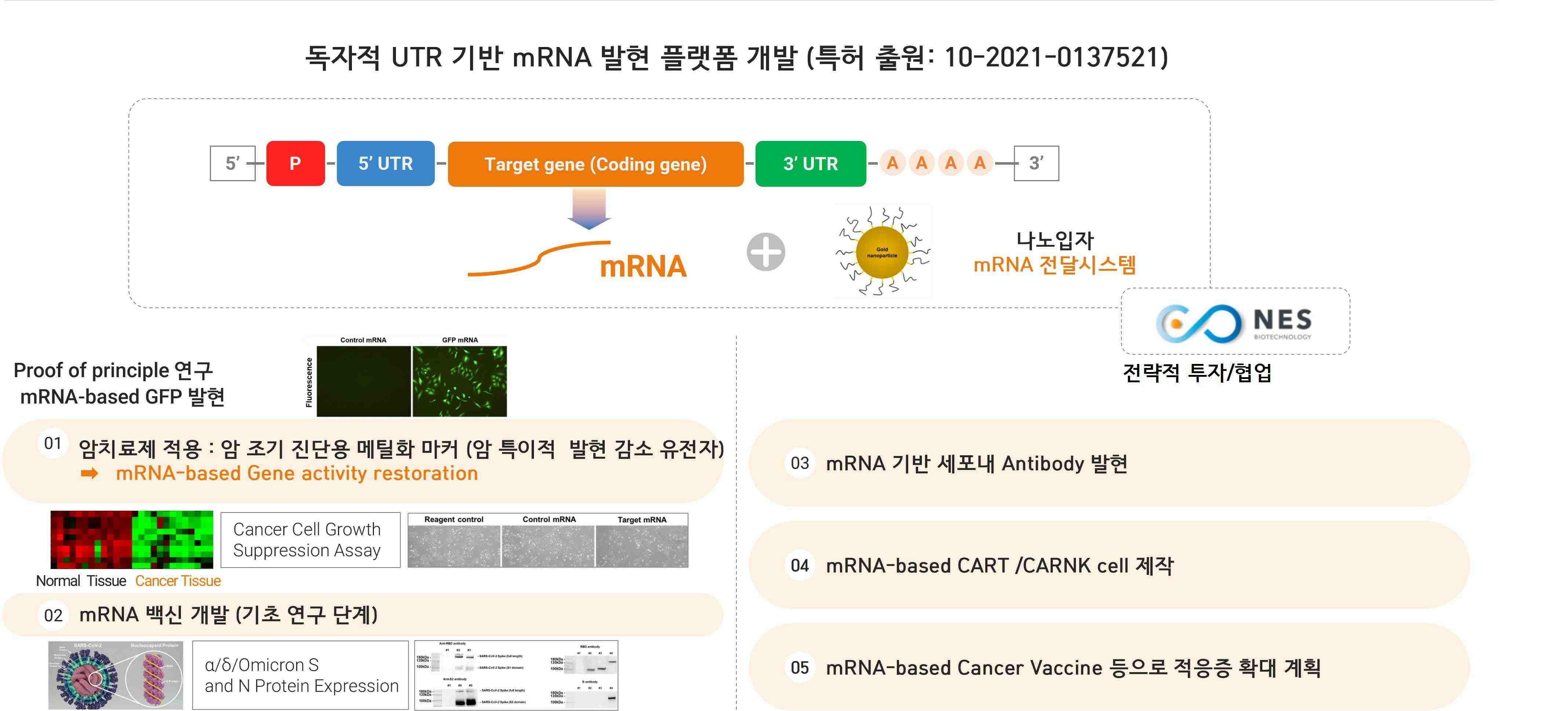 이미지: [독자적 mRNA 발현 플랫폼 기술]