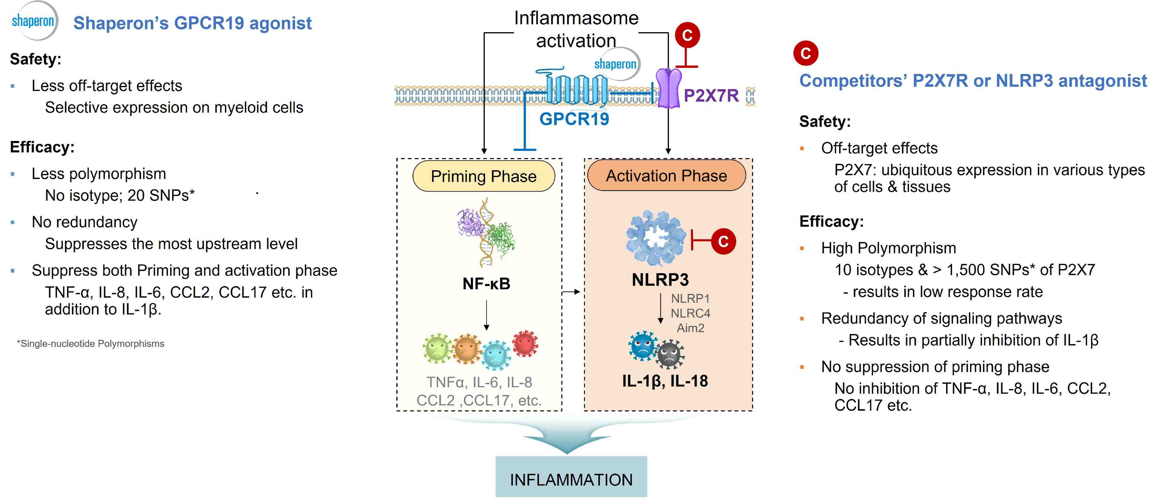 이미지: 경쟁사 대비 샤페론 GPCR19 Agonist 기전의 우수성