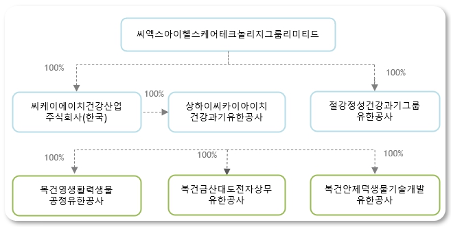 이미지: 씨엑스아이헬스케어테크놀리지그룹리미티드_지배구조도도_2024