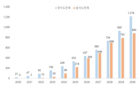 이미지: 탄소나노튜브 시장규모 전망